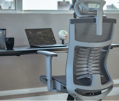 Ergonomic Max 3.0 Chair